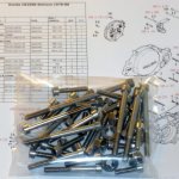 Honda CR250R Elsinore 1978-80 Engine Covers &amp; Cylinder Stainless Allen Screws kit