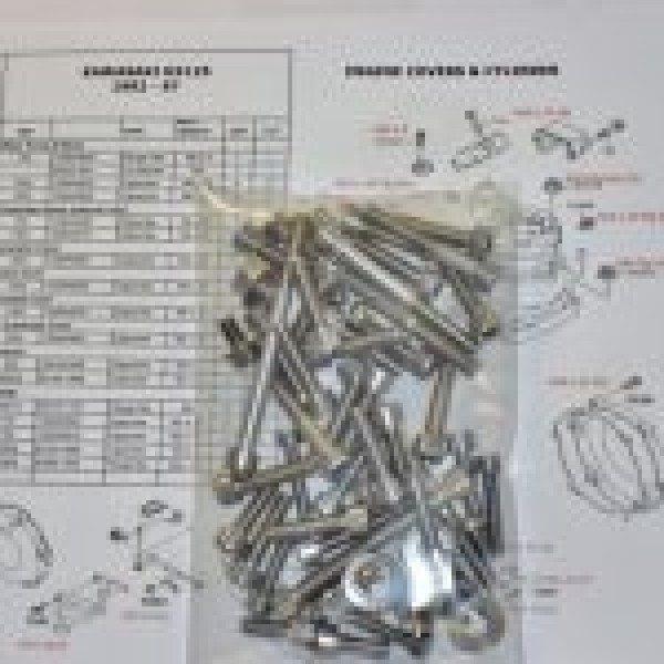 Kawasaki KX250 1989-92 Engine Covers &amp; Cylinder Stainless Allen Screw Kit