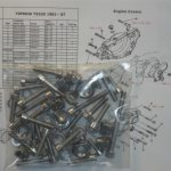 Yamaha YZ250 1990-98 Engine Covers &amp; Cylinder Stainless Allen Screw Kit