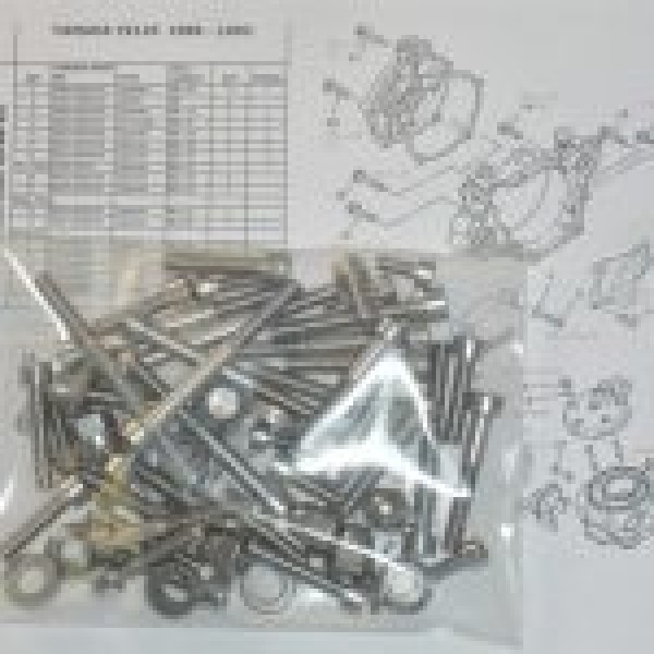 Yamaha YZ125 1986-93 Engine Covers &amp; Cylinder Stainless Allen Screws kit