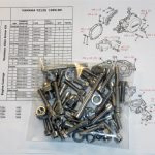 Yamaha YZ125 1982-85 Engine Covers &amp; Cylinder Stainless Allen Screws kit